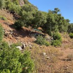 PHOTO-2025-09-26-12-23-39 (3)