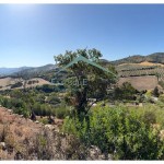 PHOTO-2025-09-26-12-23-39 (4)