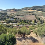 PHOTO-2025-09-26-12-23-39 (5)