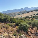 PHOTO-2025-09-26-12-23-39 (7)