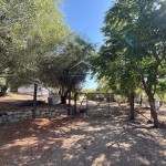 PHOTO-2025-09-26-12-23-39 (8)