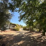 PHOTO-2025-09-26-12-23-39 (9)