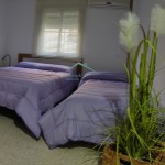 PHOTO-2025-10-03-19-38-40 (2)