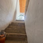 PHOTO-2025-10-14-10-24-19 (1)