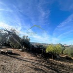 PHOTO-2025-10-29-11-05-16 (1)