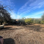 PHOTO-2025-10-29-11-05-16