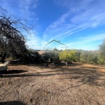 PHOTO-2025-10-29-11-05-16 (5)