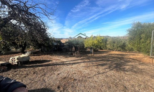 PHOTO-2025-10-29-11-05-16