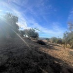 PHOTO-2025-10-29-11-05-16 (9)