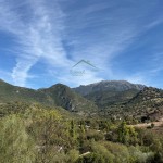 PHOTO-2025-10-29-14-19-35 (2)