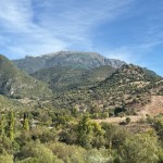 PHOTO-2025-10-29-14-19-35 (3)