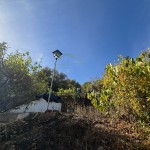 PHOTO-2025-10-29-14-19-36 (10)