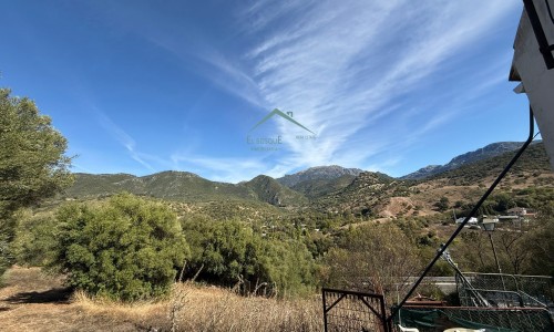 PHOTO-2025-10-29-14-19-36 (3)