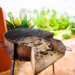 PHOTO-2025-10-20-10-23-39 (13)