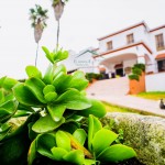 PHOTO-2025-10-20-10-23-39 (4)