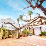 PHOTO-2025-10-20-10-23-39 (6)