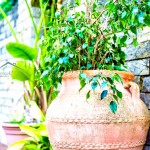 PHOTO-2025-10-20-10-23-39 (7)