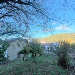 PHOTO-2025-12-01-10-37-38