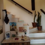 PHOTO-2026-01-28-15-48-11 (3)