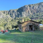 PHOTO-2025-12-17-12-46-59 (1)