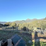 PHOTO-2025-12-17-12-46-59 (3)