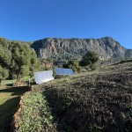 PHOTO-2025-12-17-12-47-02 (2)