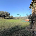 PHOTO-2025-12-17-12-47-02 (7)