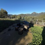 PHOTO-2025-12-17-12-47-03 (1)