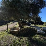 PHOTO-2025-12-17-12-47-03 (2)