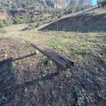 PHOTO-2025-12-17-12-47-03 (4)