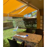 PHOTO-2026-02-02-17-54-47 (5)