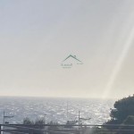 PHOTO-2026-02-02-17-54-48 (1)